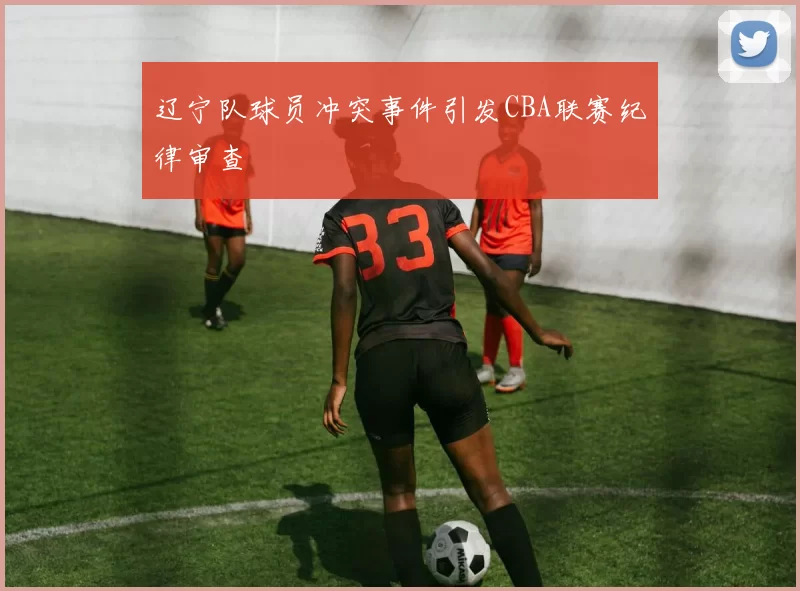 辽宁队球员冲突事件引发CBA联赛纪律审查