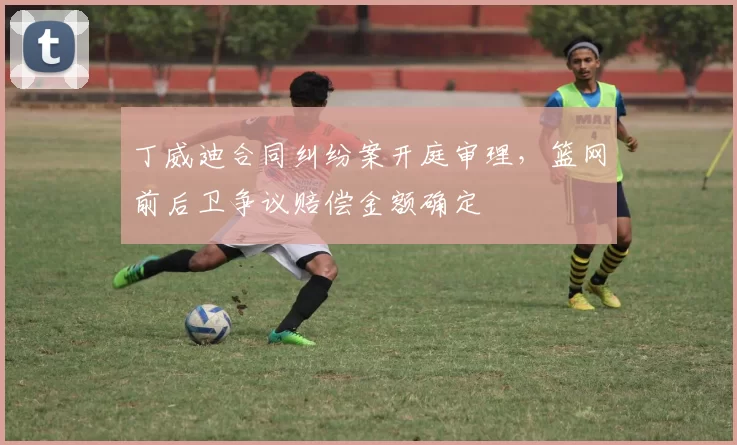 丁威迪合同纠纷案开庭审理，篮网前后卫争议赔偿金额确定