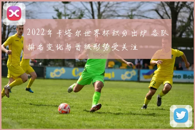 2022年卡塔尔世界杯积分出炉 各队排名变化与晋级形势受关注