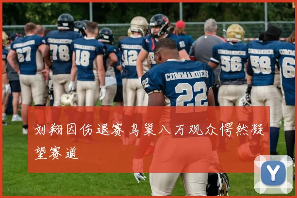 刘翔因伤退赛鸟巢八万观众愕然凝望赛道