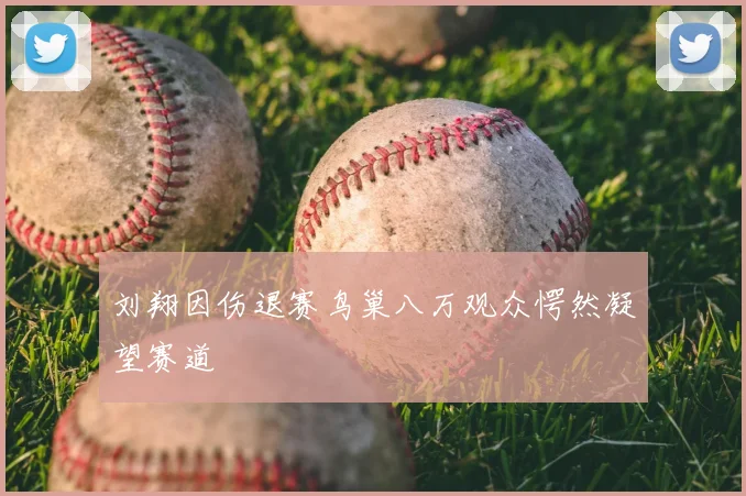 刘翔因伤退赛鸟巢八万观众愕然凝望赛道